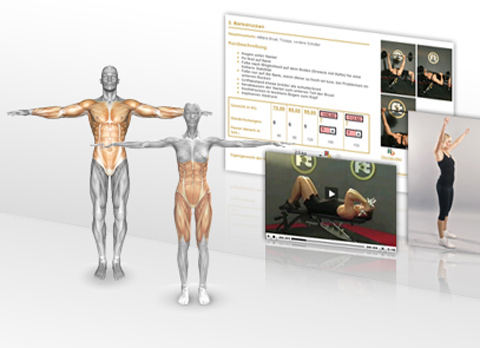 Trainingsplan Online